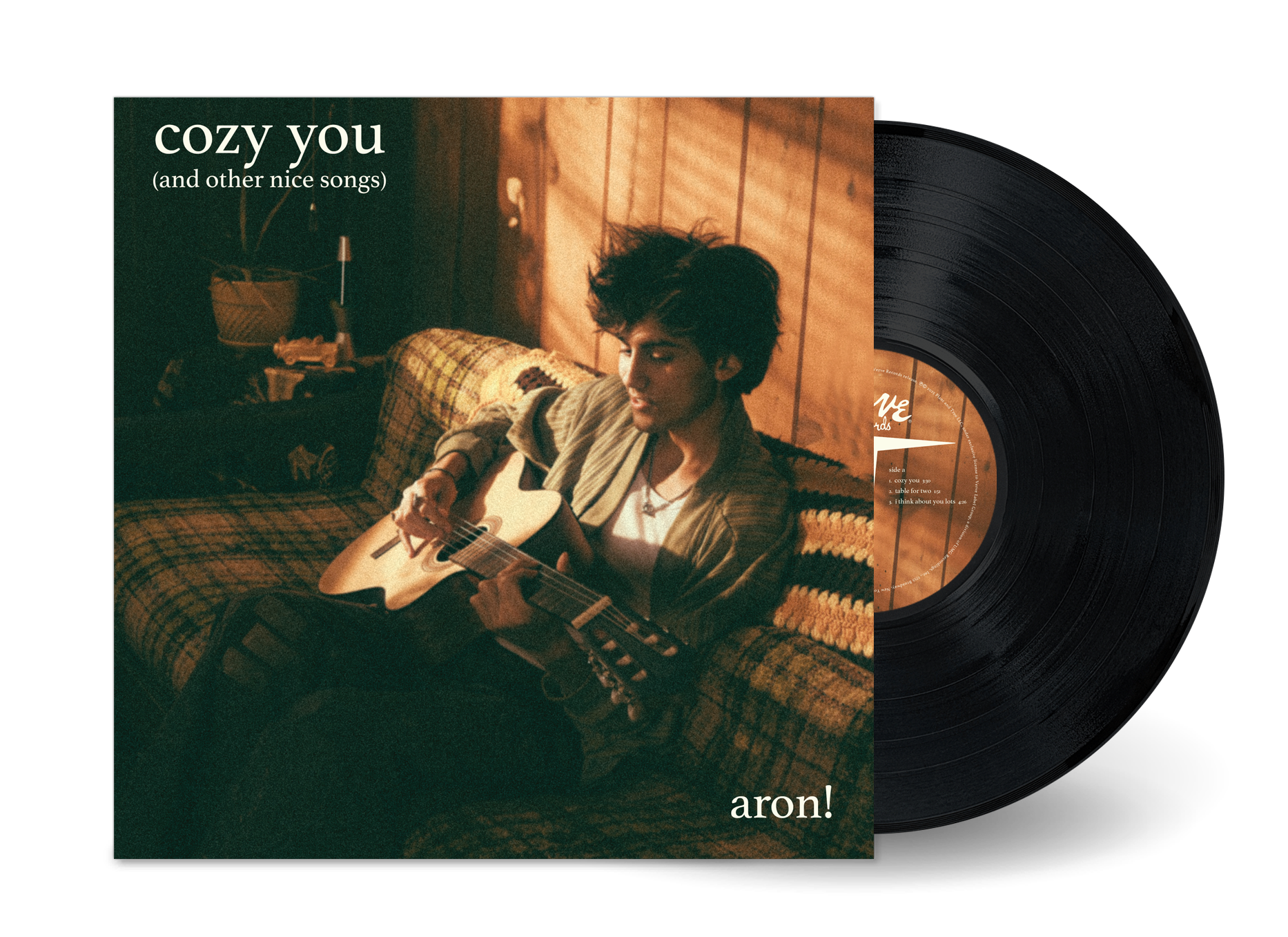 cozy you (and other nice songs) (LP)