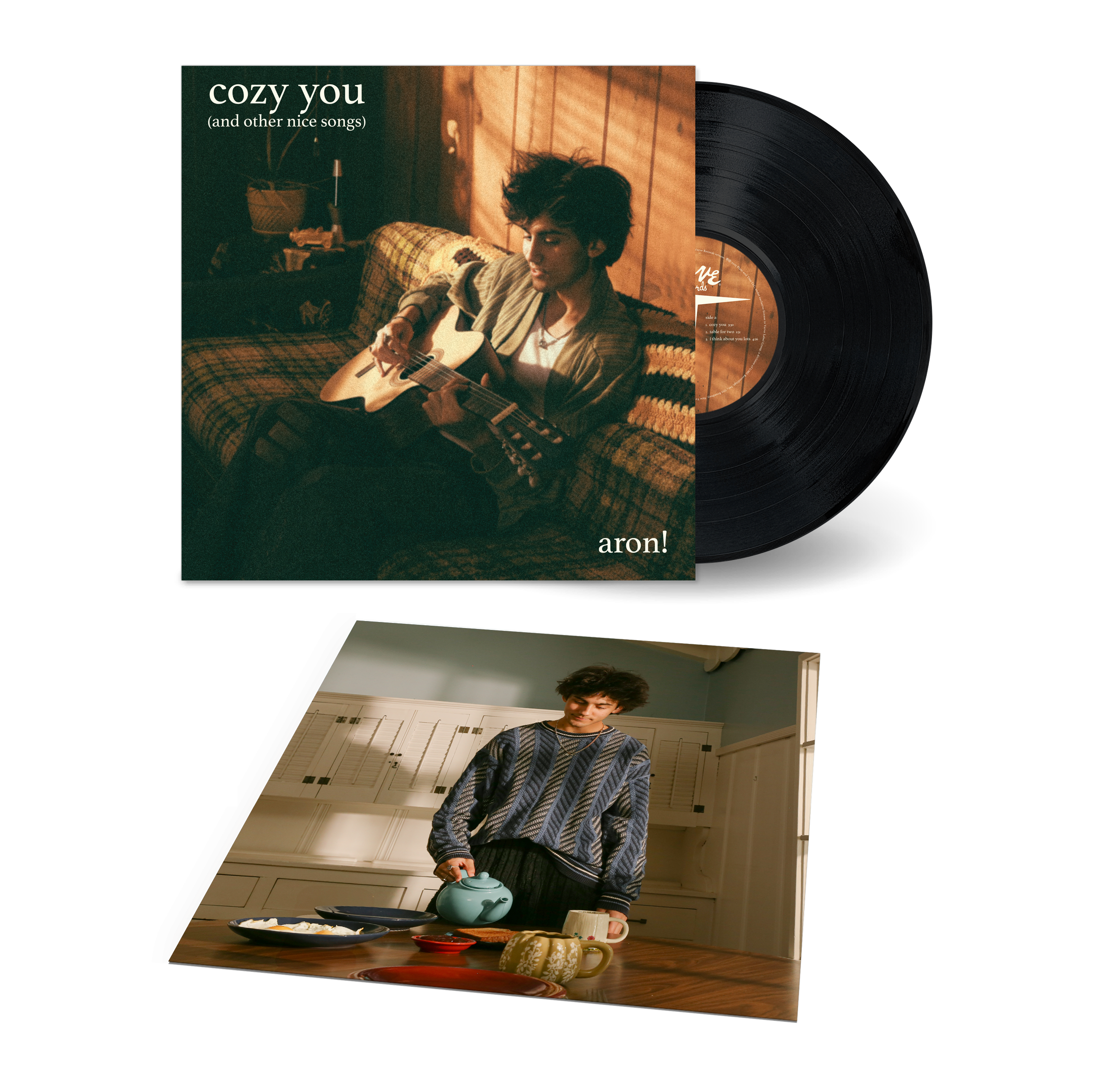 cozy you (and other nice songs) (LP) expanded